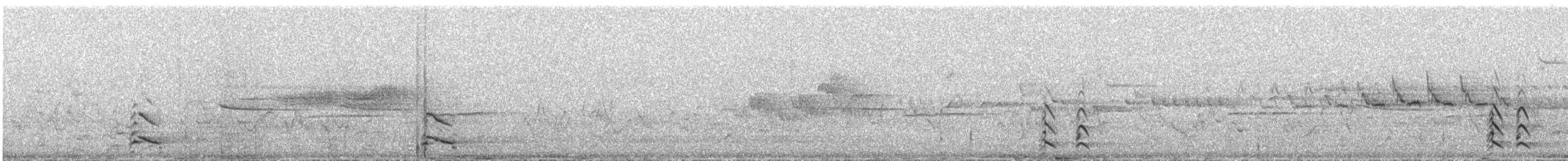 Gaviota Argéntea Americana - ML647858210