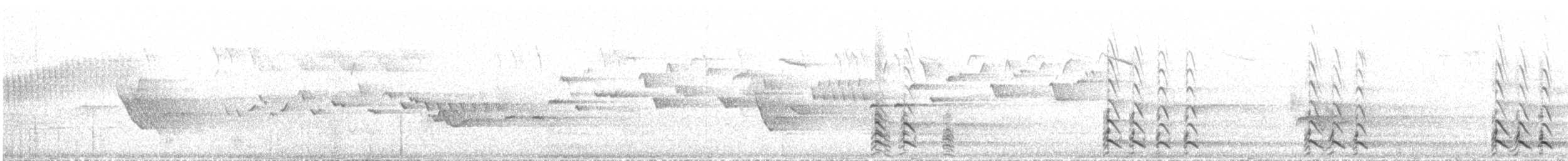 Gaviota Argéntea Americana - ML647858211