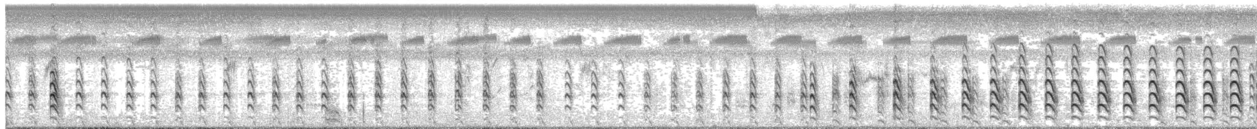 Southern Lapwing - ML647858608