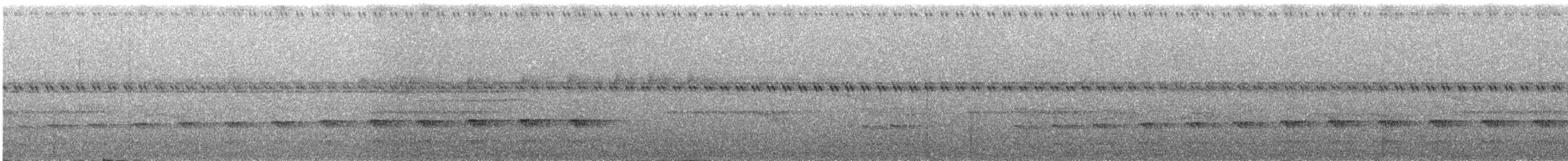 Choco Tapaculo - ML647858724