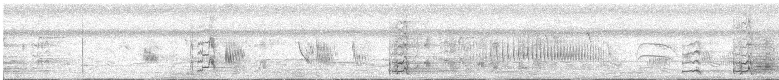 Northern Screamer - ML647859244