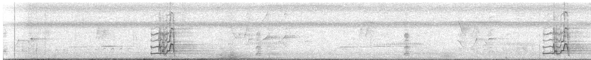 Northern Screamer - ML647859245