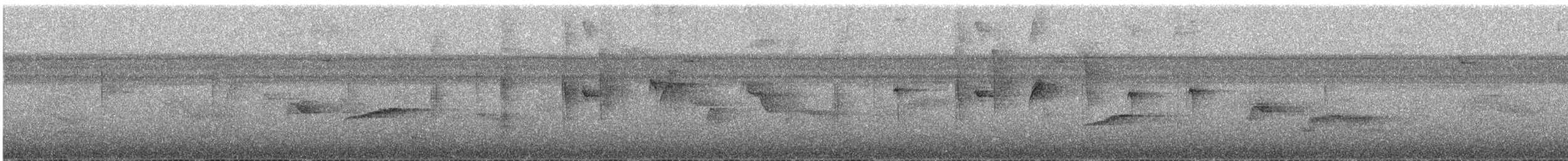 Golden-tailed Sapphire - ML647859679