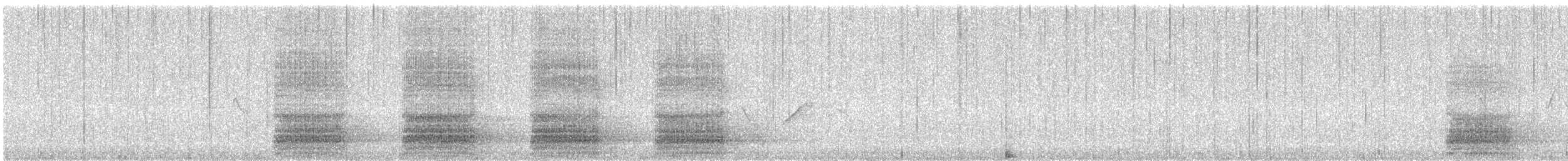 vrána černá - ML647859876