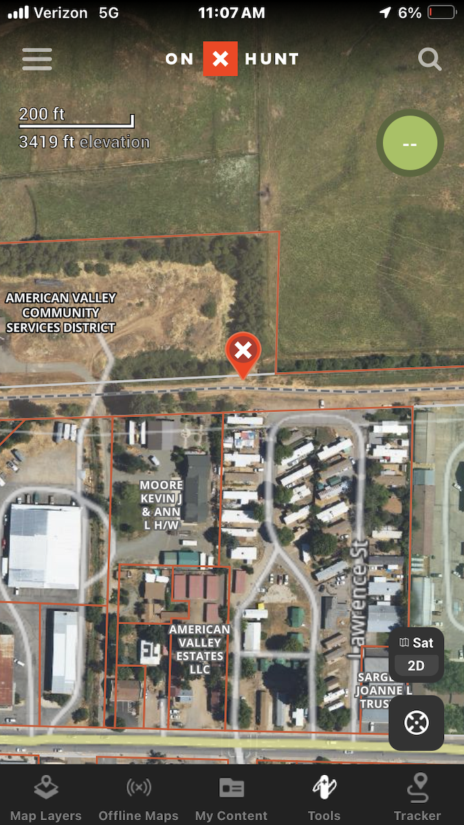 Northern Mockingbird - ML647860191