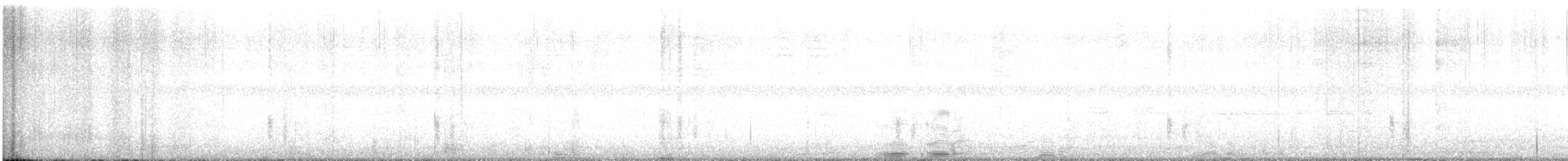 Great-tailed Grackle - ML647860780