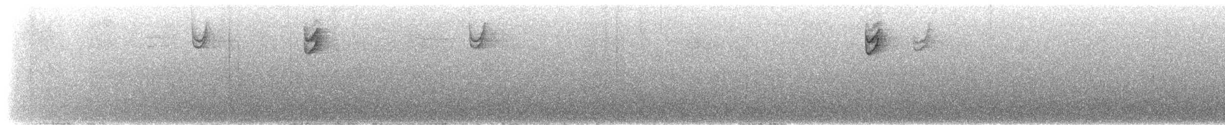 Fox Sparrow (Red) - ML647860953