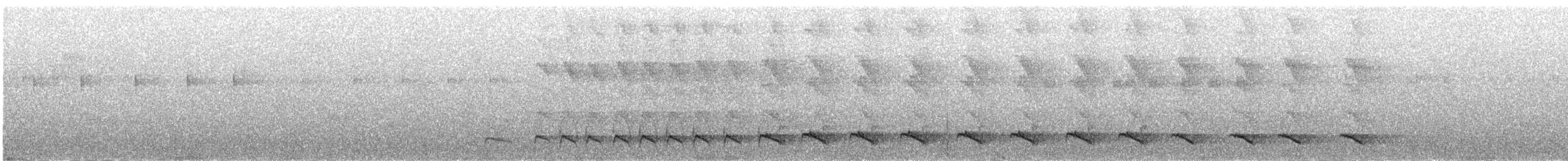 bird sp. - ML647861018