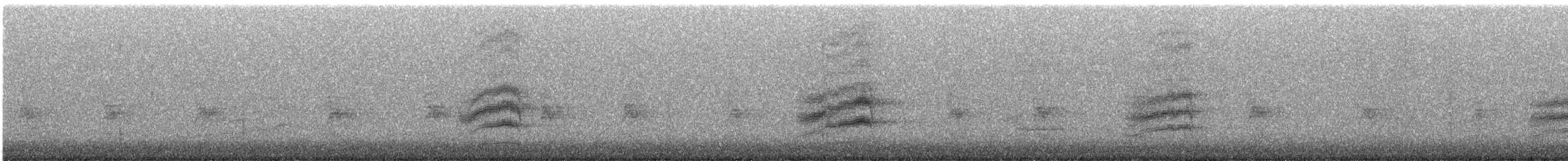 Spotted Towhee - ML647861222