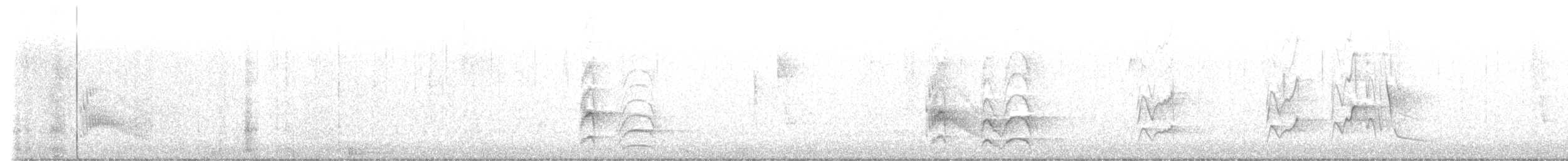 Couch's Kingbird - ML647861267