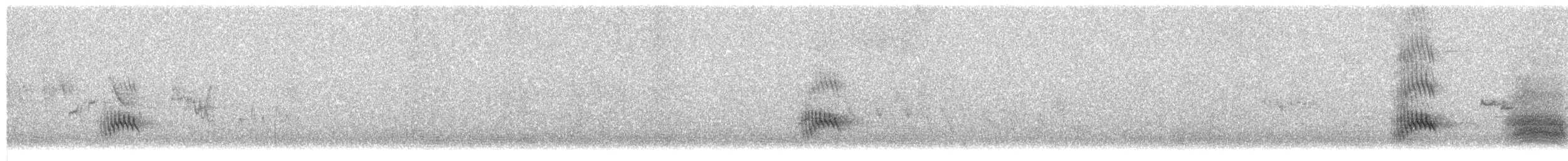 Yellow-billed Chough - ML647861384