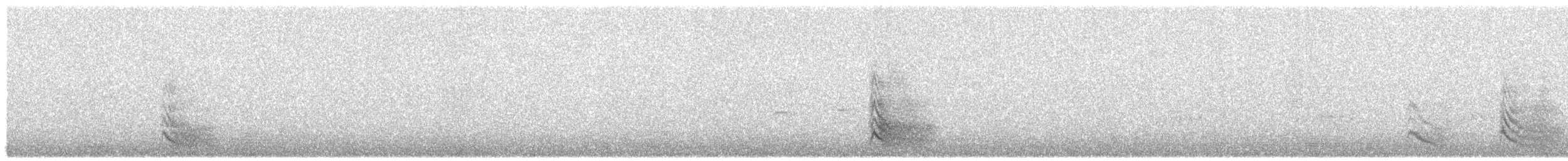 Red-billed Chough - ML647861398