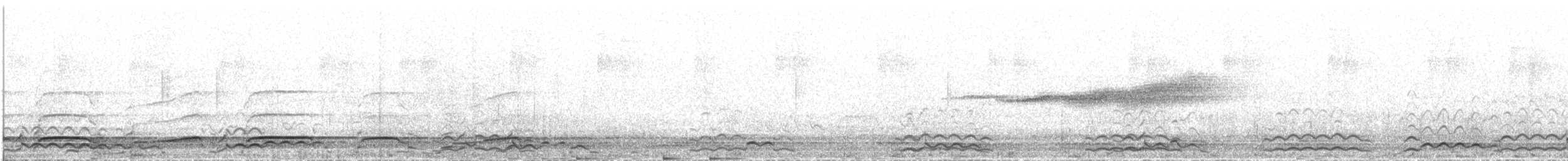 Common Loon - ML647861503