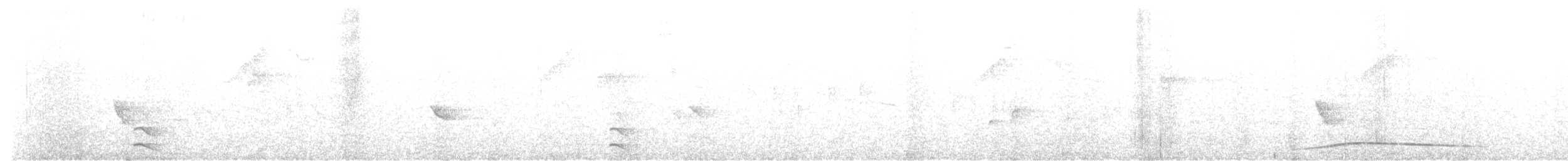 Resplendent Quetzal (Guatemalan) - ML647862129