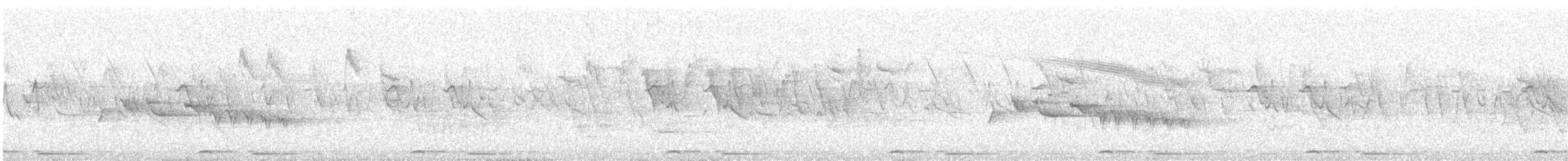 ビンズイ - ML647862663