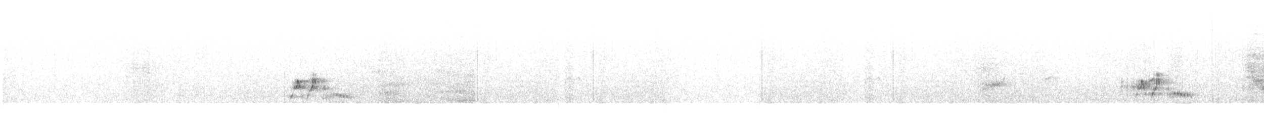 Caribbean Elaenia - ML647864000