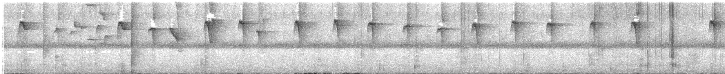 Пестрогорлый колибри-отшельник - ML647864638