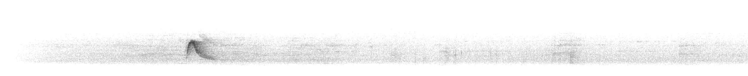 Caribbean Elaenia - ML647864732