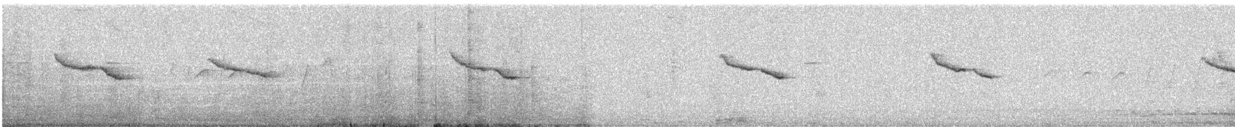 シキチョウ - ML647865057