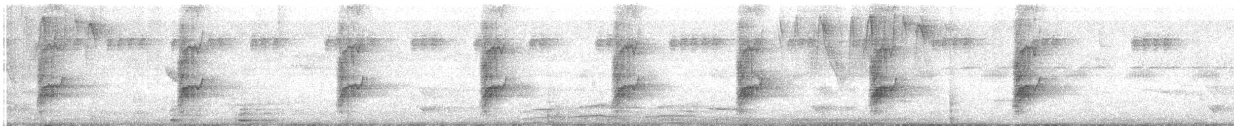 メキシコシロガシラインコ - ML647865077