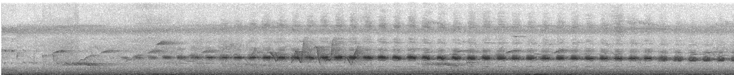 Sahul Cicadabird - ML647865395