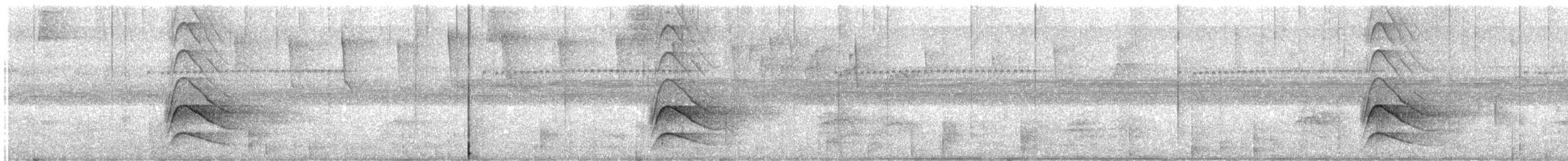 Roadside Hawk - ML647865625