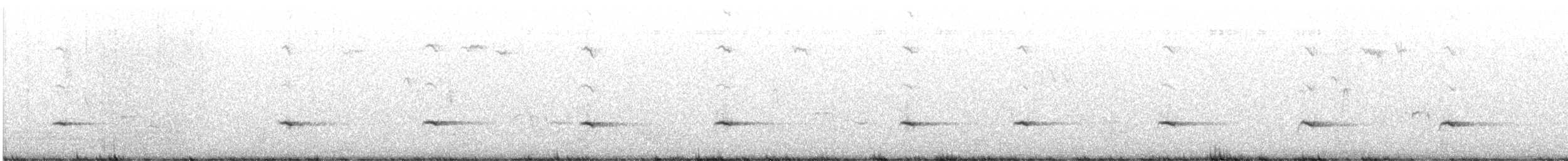 Townsend's Solitaire - ML647865627