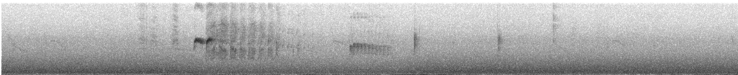 White-crested Elaenia - ML647865751