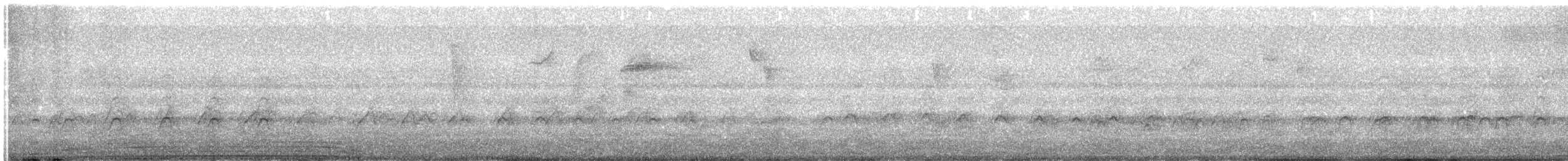 Roadside Hawk - ML647865775