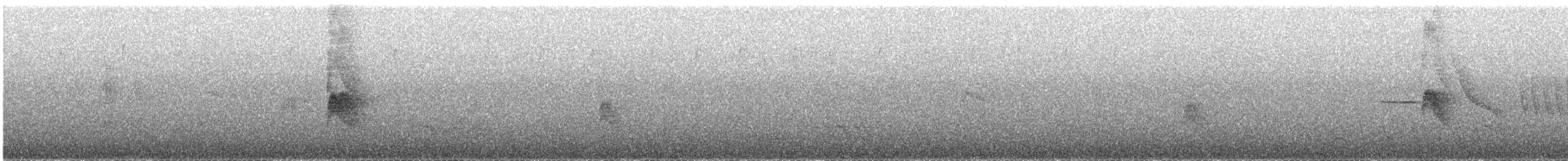 White-crested Elaenia - ML647865823