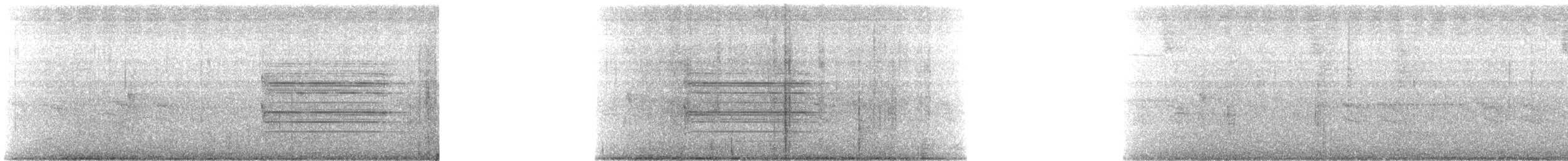 White-eared Solitaire - ML647865851