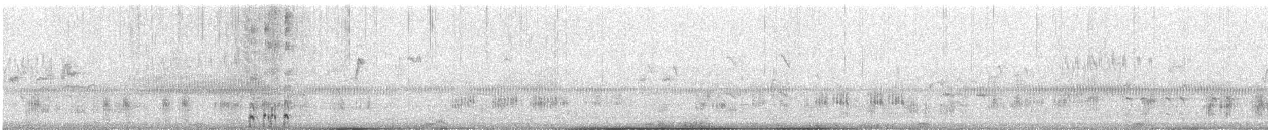 Eurasian Moorhen - ML647865883