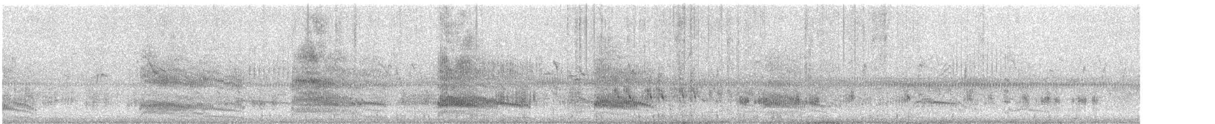 Black-headed Gull - ML647865944