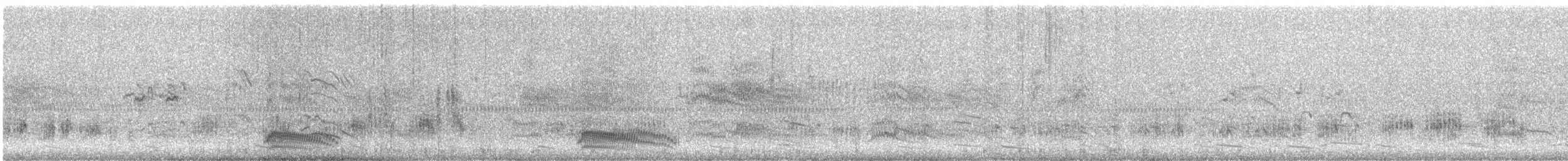 Black-headed Gull - ML647865945