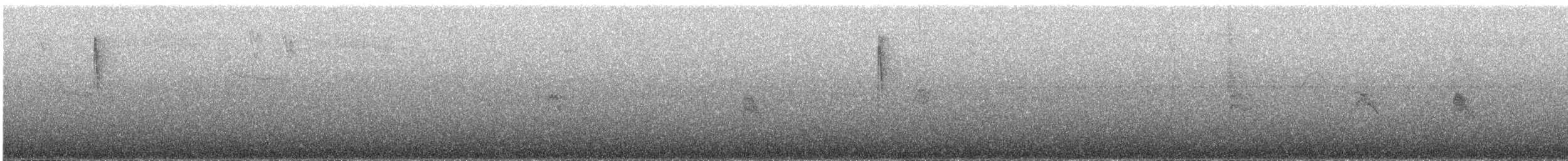 Blackburnian Warbler - ML647865984