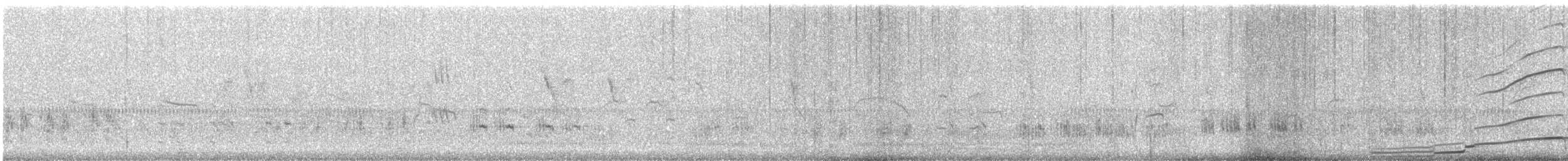 Arctic Loon - ML647866000