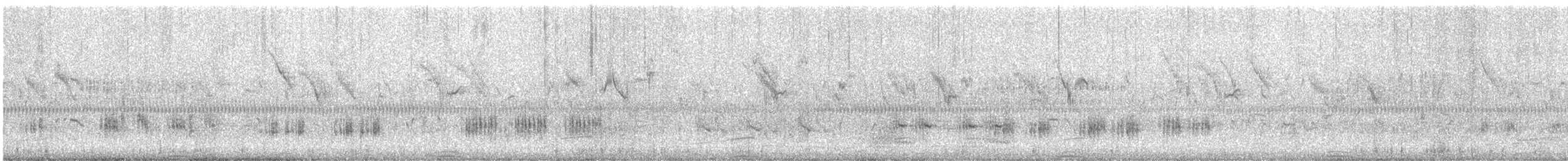 Savi's Warbler - ML647866369