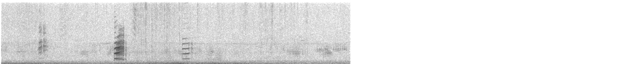 Black-winged Stilt - ML647866462