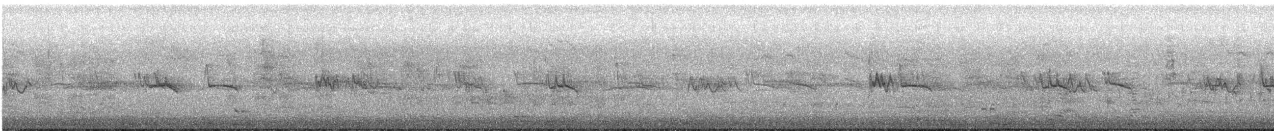 Silvereye - ML647866499