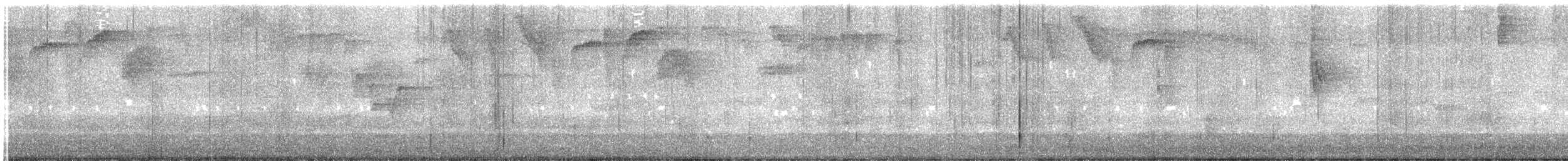 Chestnut-capped Brushfinch - ML647866725