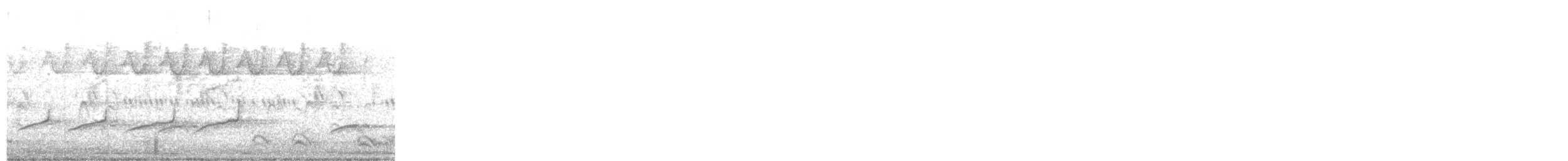 Black-and-white Warbler - ML647867469