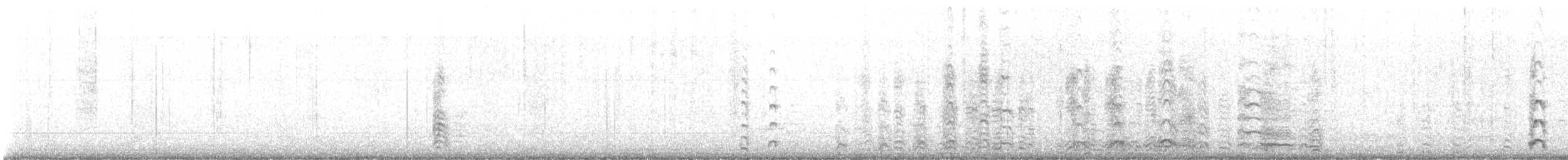 Quiscale à longue queue - ML647867912