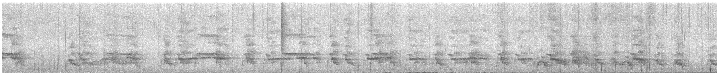 Tétraophase de Verreaux - ML647868627
