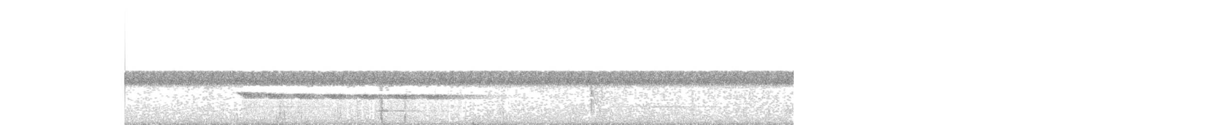 Alapi à tête noire (minor/jensoni) - ML647870033