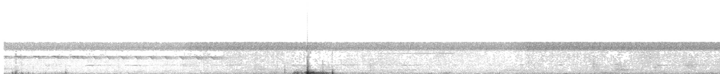 Alapi à tête noire (minor/jensoni) - ML647870234