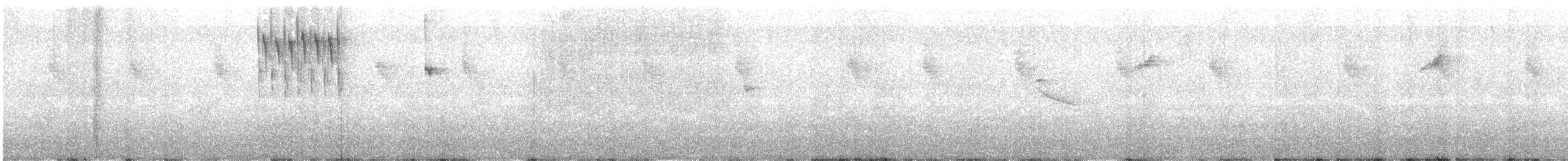 Tiaris grand-chanteur - ML647870390