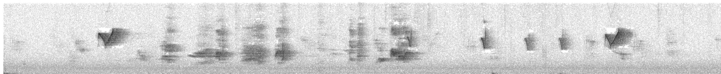 Pouillot à grands sourcils - ML647870536