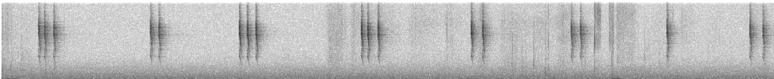 Troglodyte de Baird - ML647870793