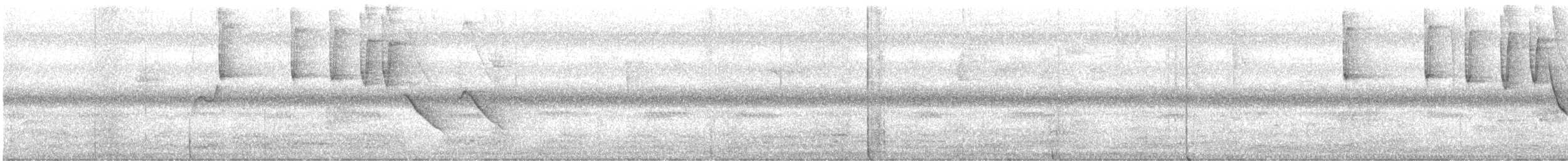 Tohi à face blanche - ML647870983