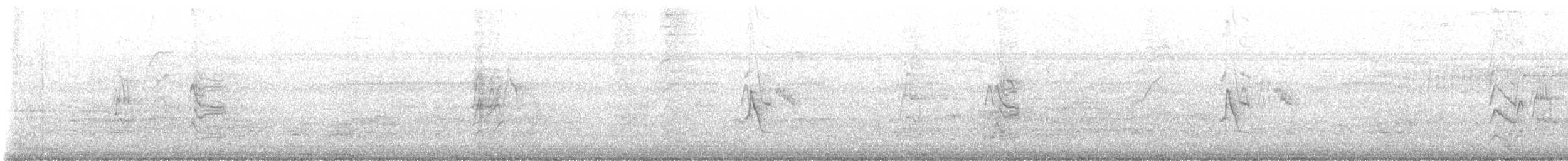 Sporophile de Morelet - ML647871097